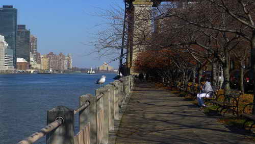 NYC_2012-11-17 12-09-54_P1070124